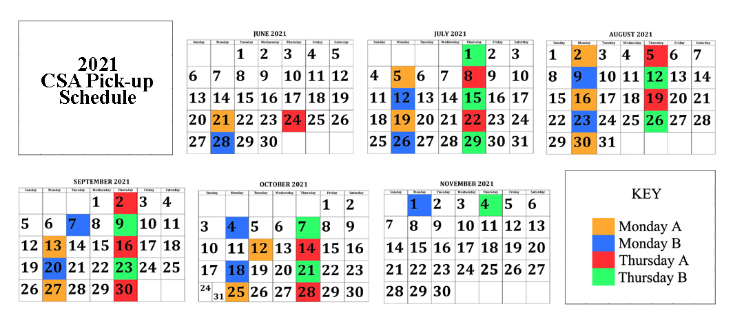 Mud Creek Farm CSA | Victor, NY